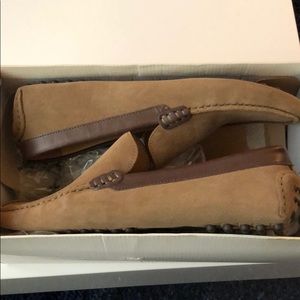 Suede Venetian Driving Loafers